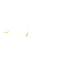 arena-gamer-parceiros-brazil-pc-img-001